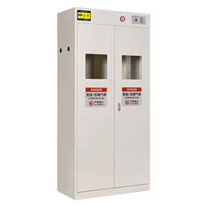 Double-cylinder gas cylinder cabinet with all steel plates and detection of various gases